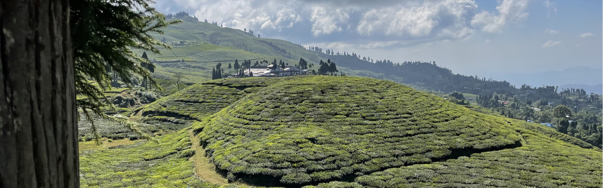 Treasures of the Kathmandu Valley and tea route in Ilam